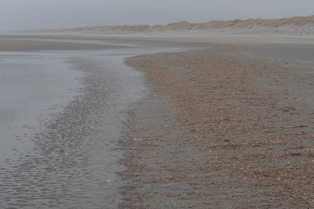 ameland_188.jpg