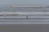 ameland_196_small.jpg