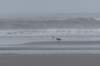 ameland_197_small.jpg