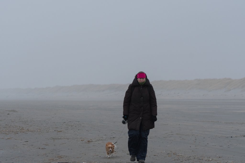 ameland_198.jpg