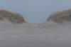 ameland_204_small.jpg