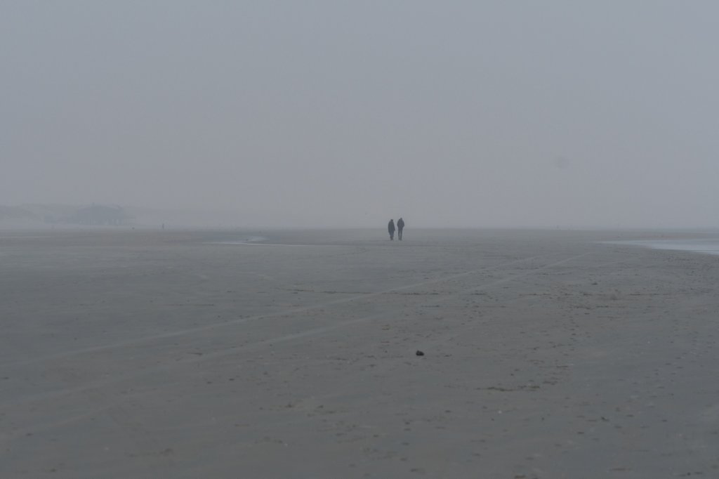 ameland_205.jpg