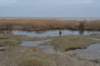 ameland_210_small.jpg
