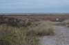 ameland_211_small.jpg