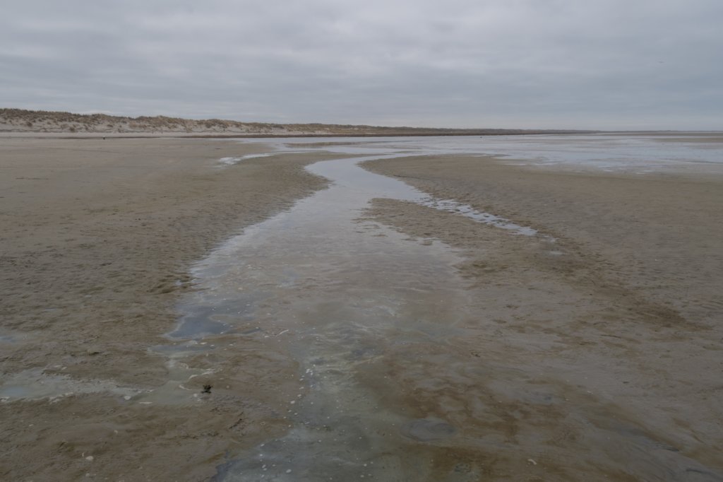 ameland_213.jpg