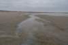 ameland_213_small.jpg