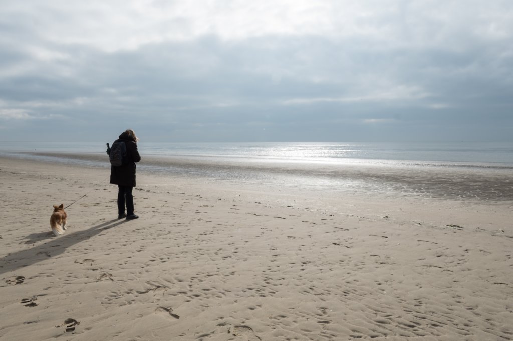 ameland_217.jpg