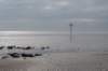 ameland_222_small.jpg
