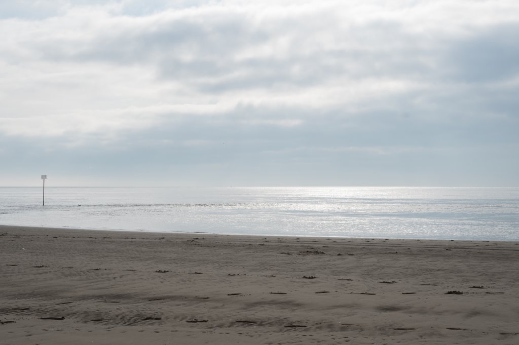 ameland_225.jpg