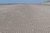 ameland_226_small.jpg
