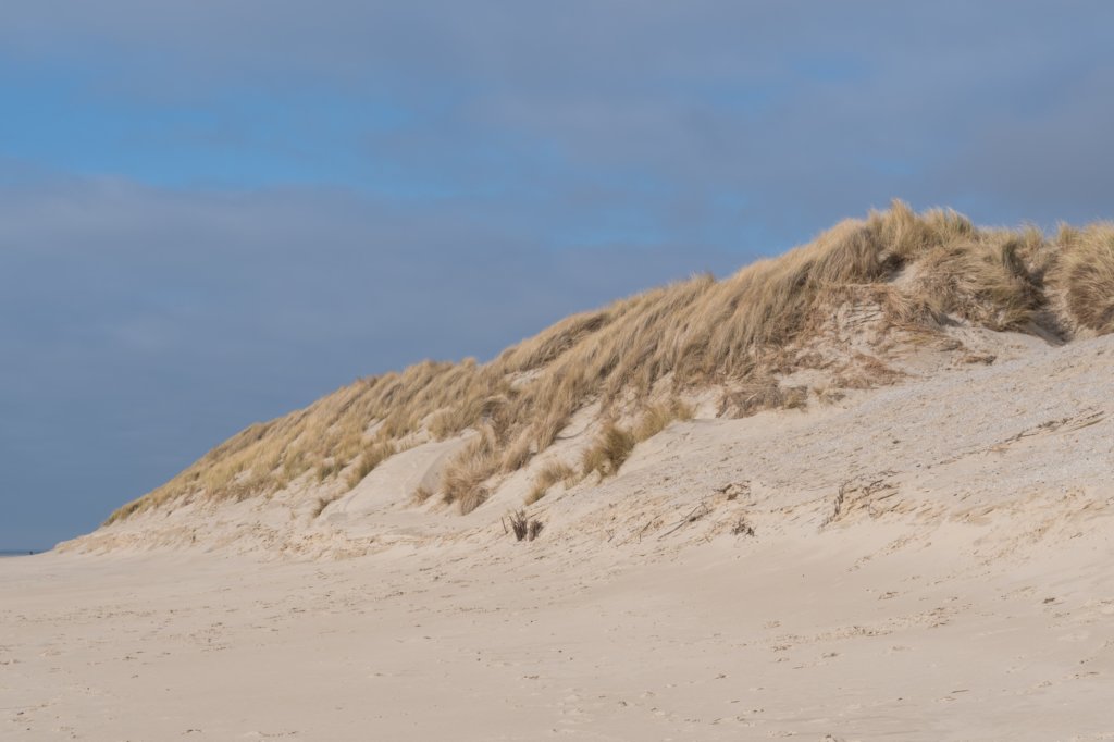 ameland_227.jpg