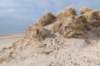 ameland_229_small.jpg
