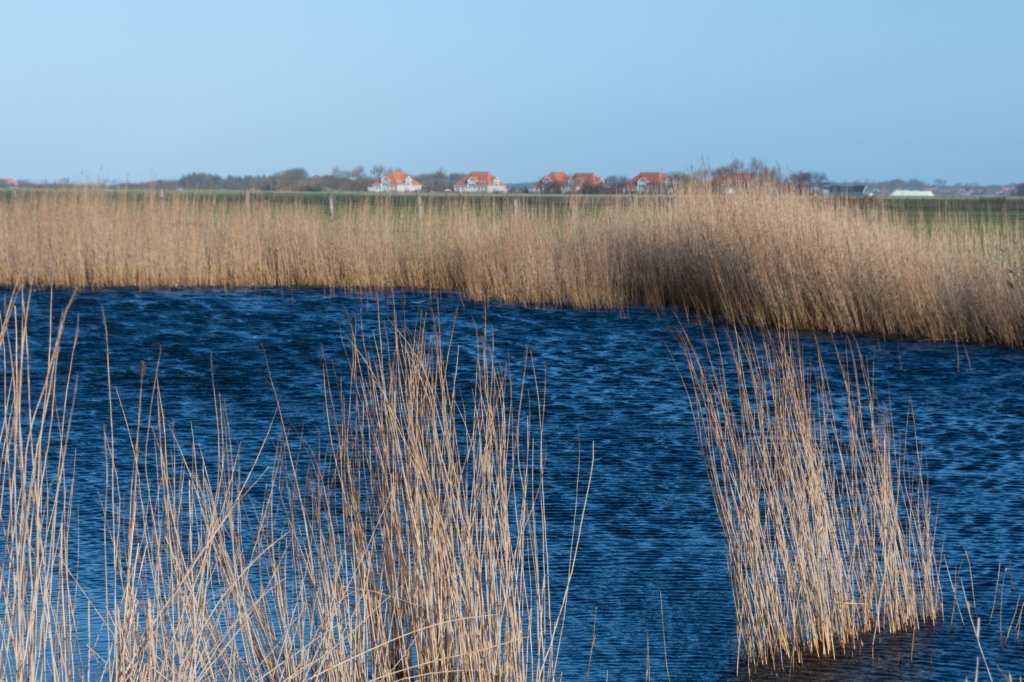 ameland2020_002.jpg