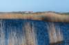 ameland2020_002_small.jpg