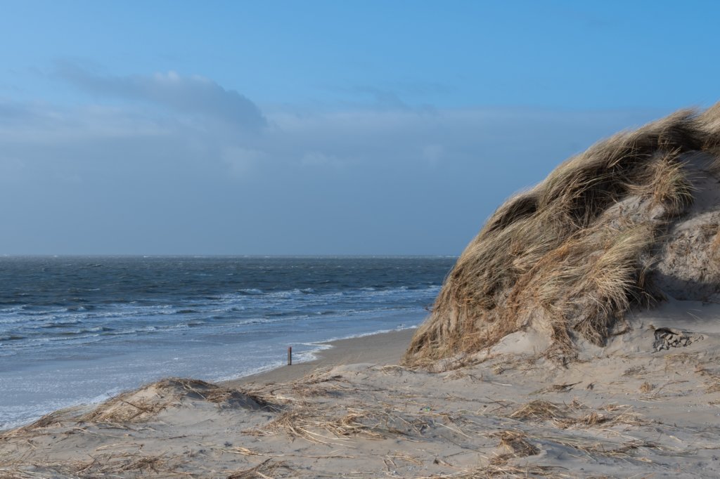 ameland2020_005.jpg
