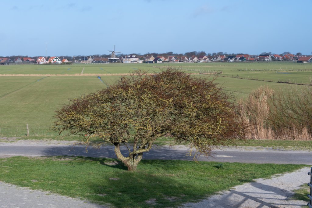 ameland2020_009.jpg