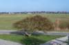 ameland2020_009_small.jpg
