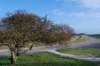 ameland2020_010_small.jpg