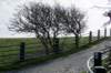 ameland2020_011_small.jpg