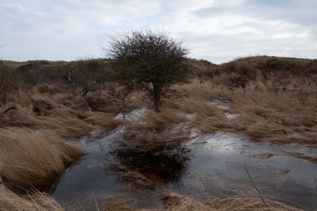 ameland2020_012.jpg