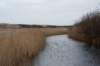 ameland2020_016_small.jpg