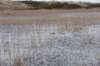 ameland2020_017_small.jpg