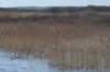 ameland2020_018_small.jpg