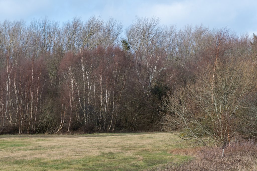ameland2020_019.jpg