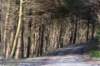 ameland2020_020_small.jpg