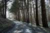 ameland2020_021_small.jpg