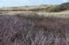 ameland2020_023_small.jpg