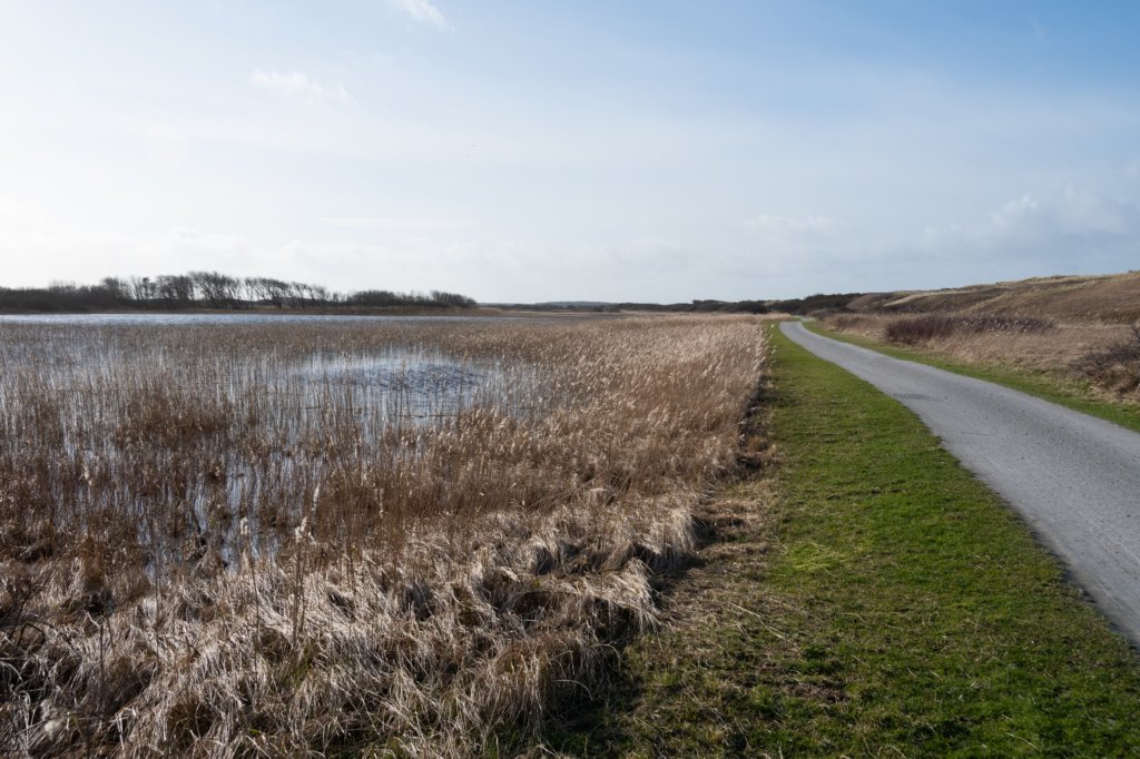 ameland2020_024.jpg