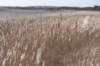 ameland2020_025_small.jpg