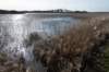 ameland2020_026_small.jpg