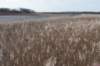 ameland2020_027_small.jpg