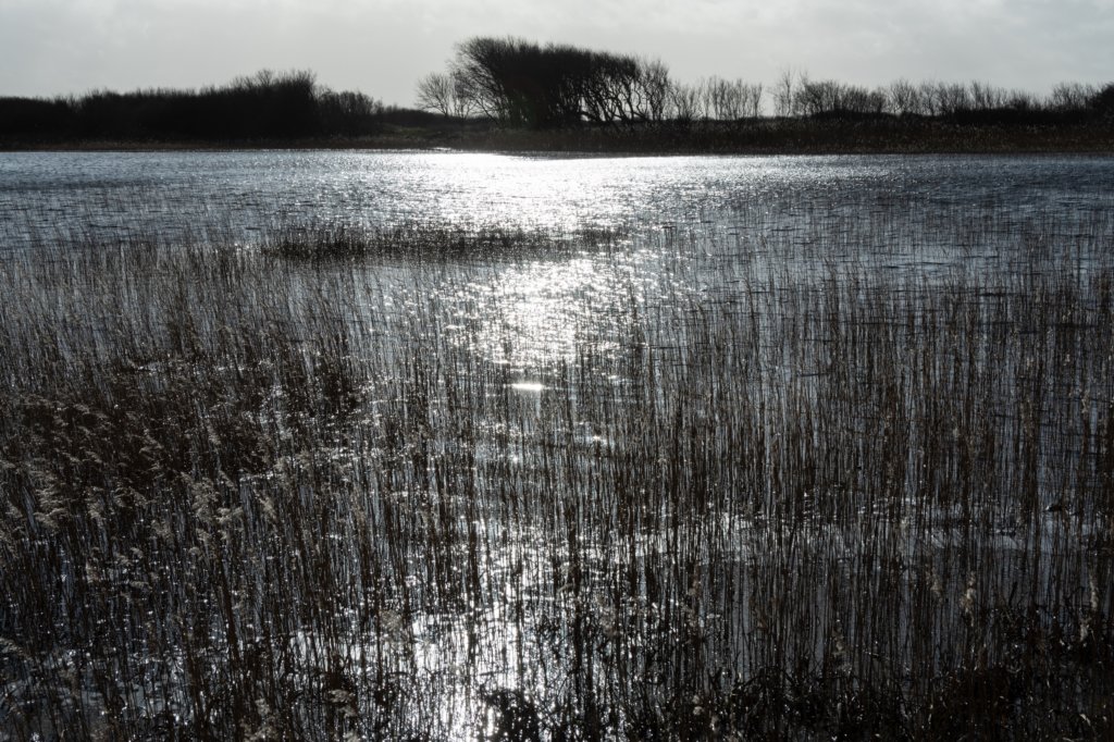 ameland2020_029.jpg
