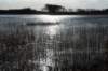 ameland2020_029_small.jpg
