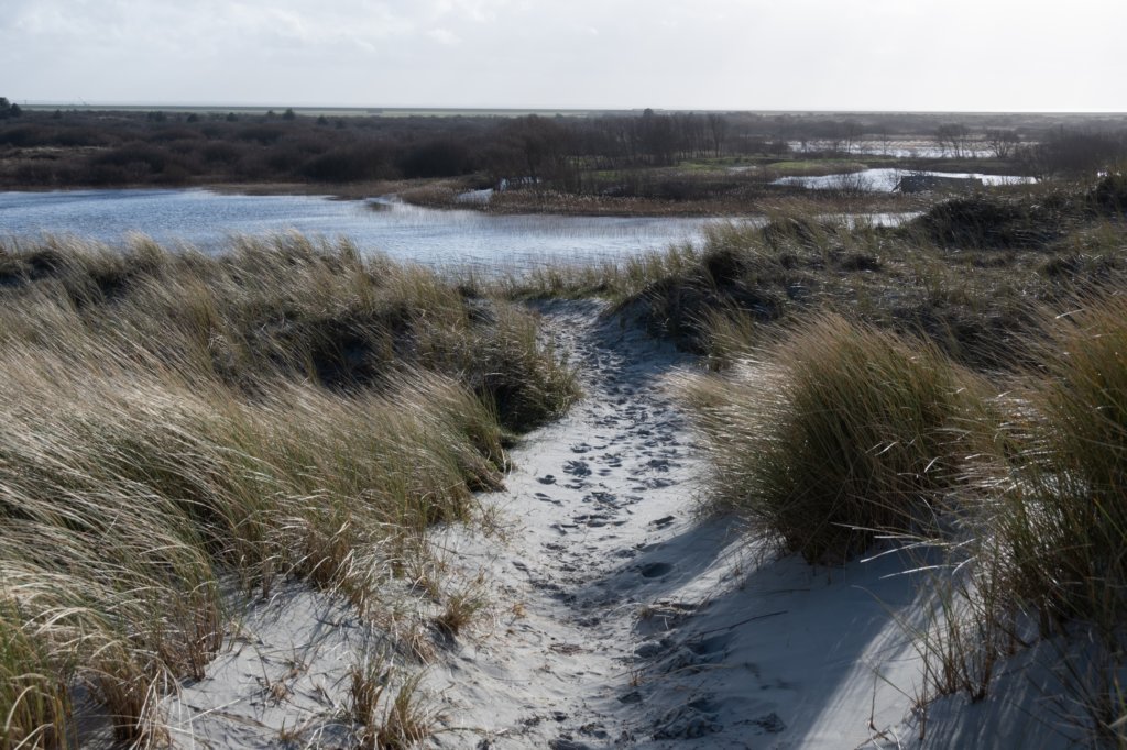 ameland2020_030.jpg