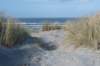 ameland2020_031_small.jpg