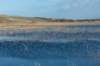 ameland2020_035_small.jpg