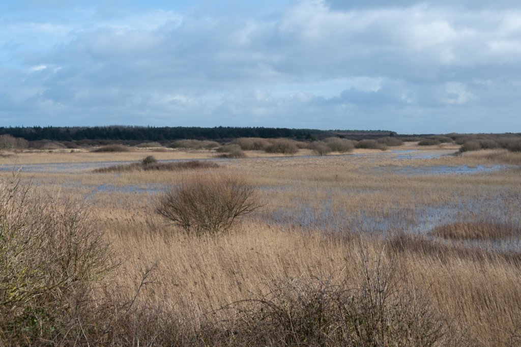 ameland2020_036.jpg