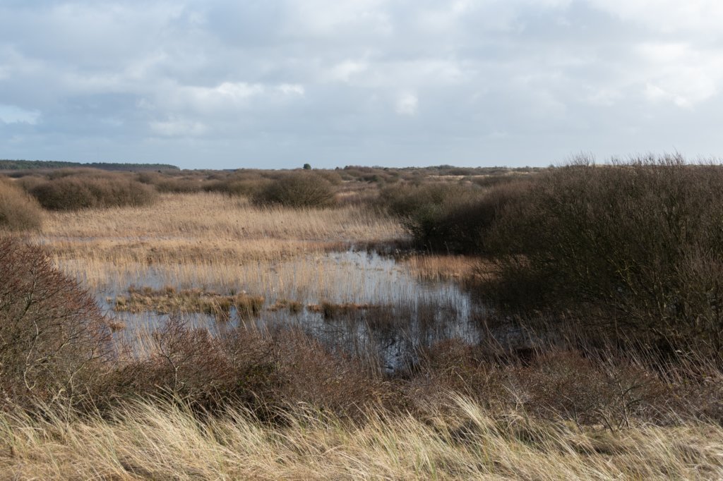 ameland2020_037.jpg