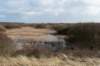 ameland2020_037_small.jpg