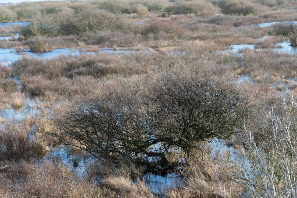 ameland2020_038.jpg
