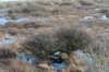 ameland2020_038_small.jpg