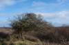 ameland2020_040_small.jpg