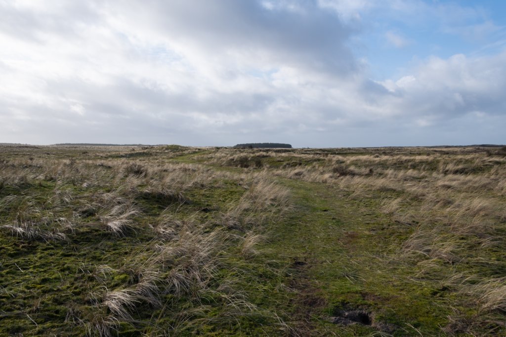 ameland2020_041.jpg