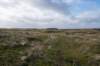 ameland2020_041_small.jpg