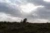 ameland2020_043_small.jpg