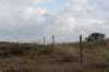 ameland2020_044_small.jpg